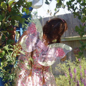 Meet your Posher, Sumanasa